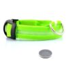 Lysande led hundhalsband grön