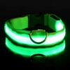 Lysande led hundhalsband grön
