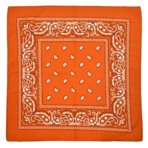 Bandana scarf sjal snusnäsduk paisleymönster rosa